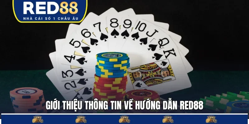 Hướng dẫn RED88 giúp hội viên sử dụng nền tảng đúng cách
